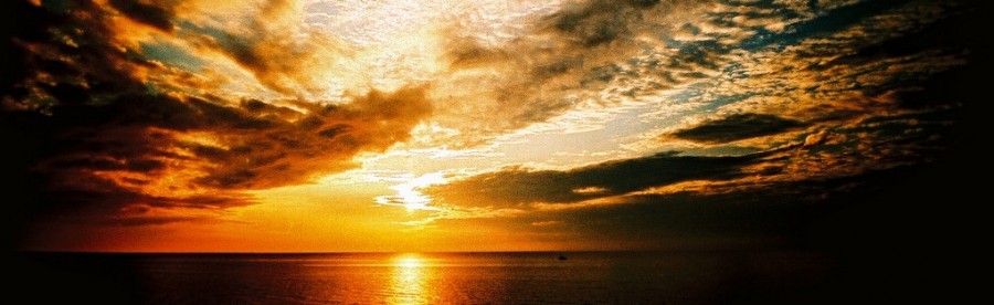 3800066729_39fa956418_b